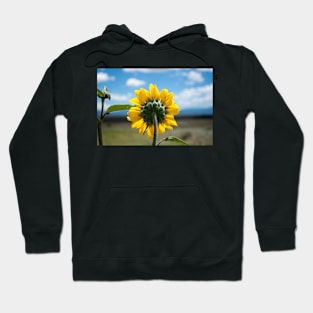 Sun Gazing Hoodie